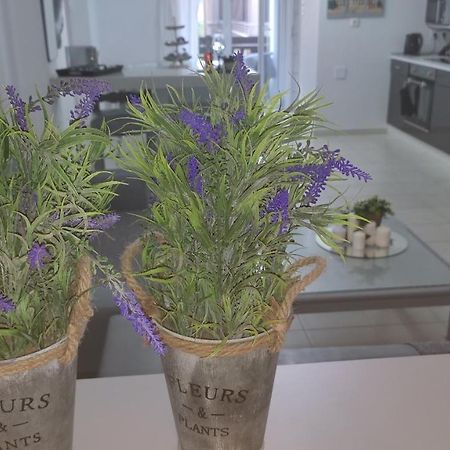 Lavender Home Волос Екстериор снимка