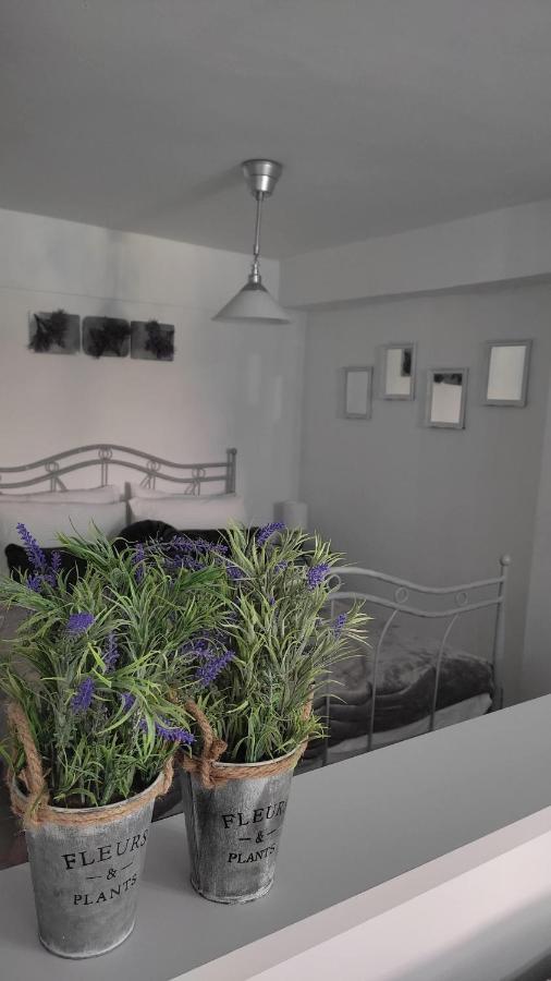 Lavender Home Волос Екстериор снимка